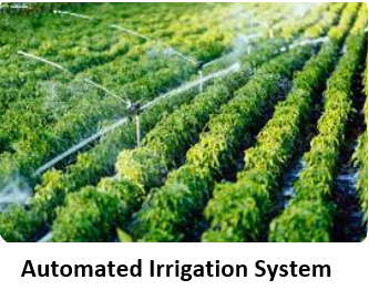 Automated Irrigation System