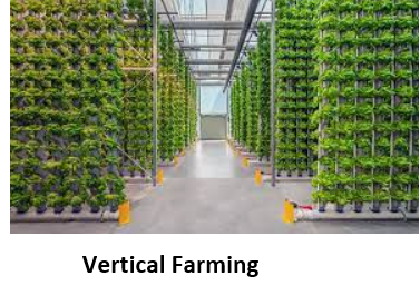 Vertical Farming